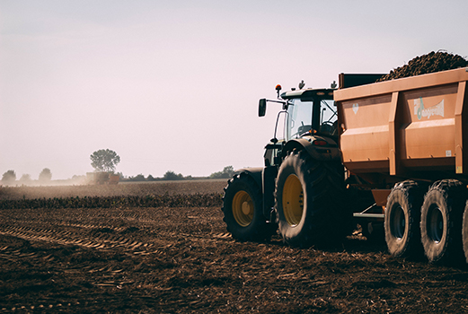 Harvesting the fields, Belgium contryside